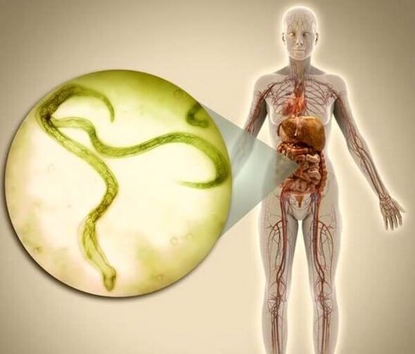 Parasiten im menschlichen Körper