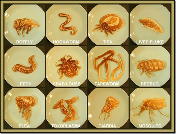 Parasiten
